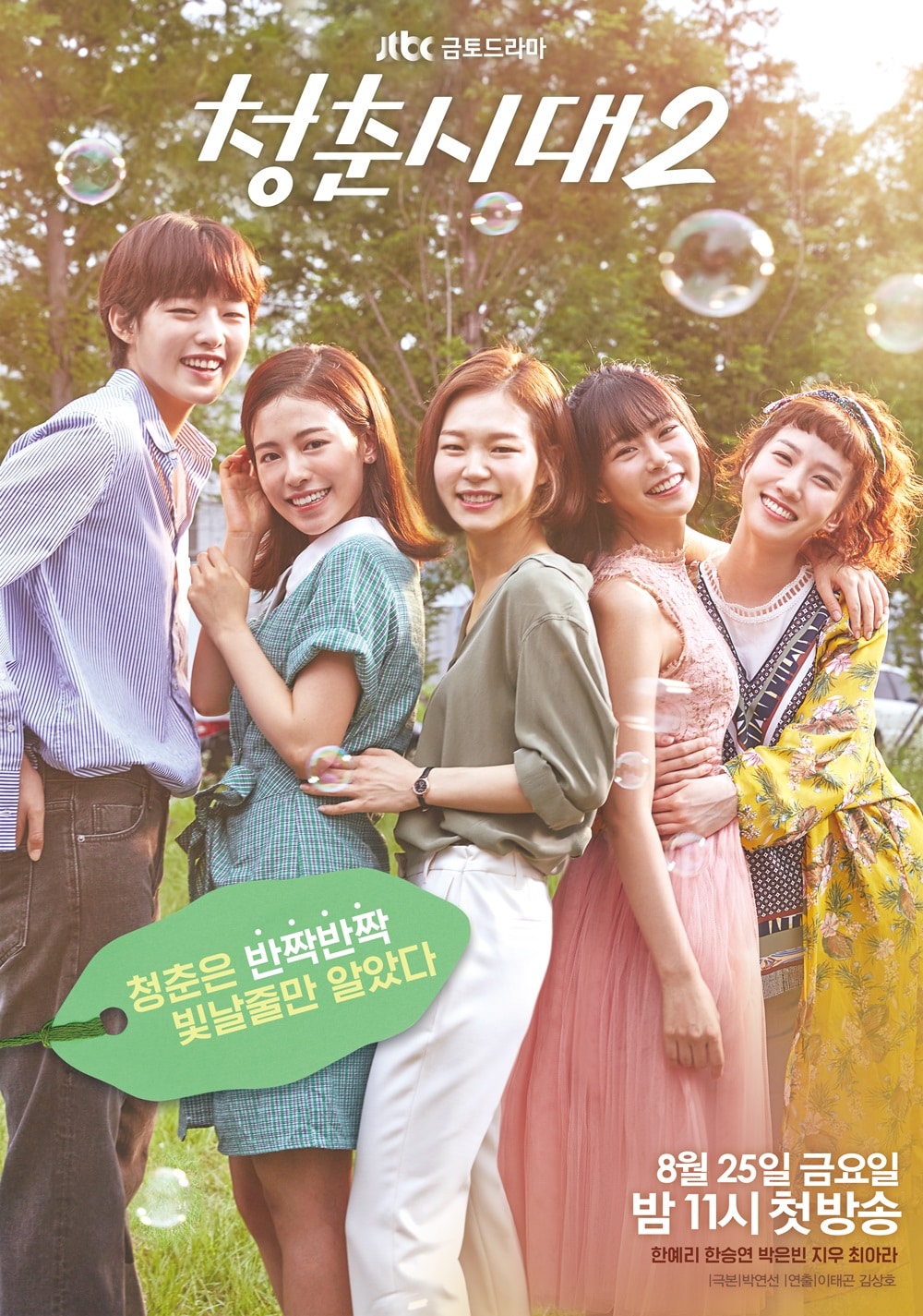 Nonton Drama Korea Age of Youth 2 (2017)