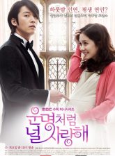 Nonton Drama Korea Fated to Love You (2014)