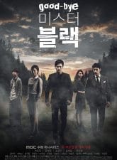 Nonton Drama Korea Goodbye Mr. Black (2016)
