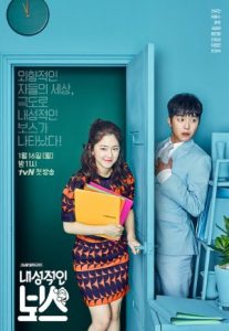 Nonton Drama Korea Introverted Boss (2017)
