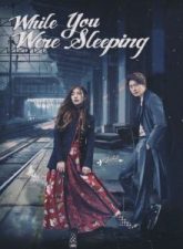 Nonton Drama Korea While You Were Sleeping (2017)