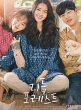 Nonton Drama Korea Little Forest (2018)