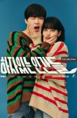 Nonton Drama Korea Love with Flaws (2019)