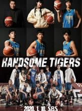 Nonton Drama Korea Handsome Tigers (2020)