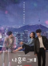 Nonton Drama Korea My Holo Love (2020)