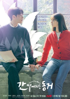 Nonton Drama Korea My Roommate is a Gumiho (2021)