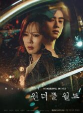 Nonton Drama Korea Wonderful World (2024)