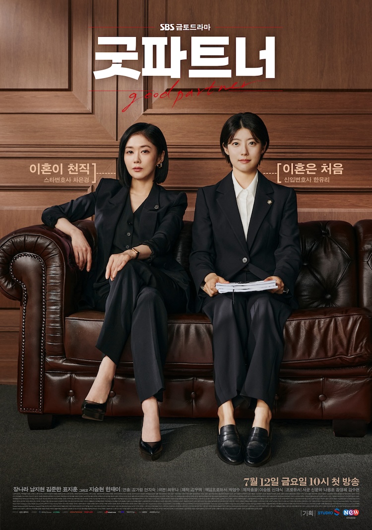 Nonton Drama Korea Good Partner (2024)