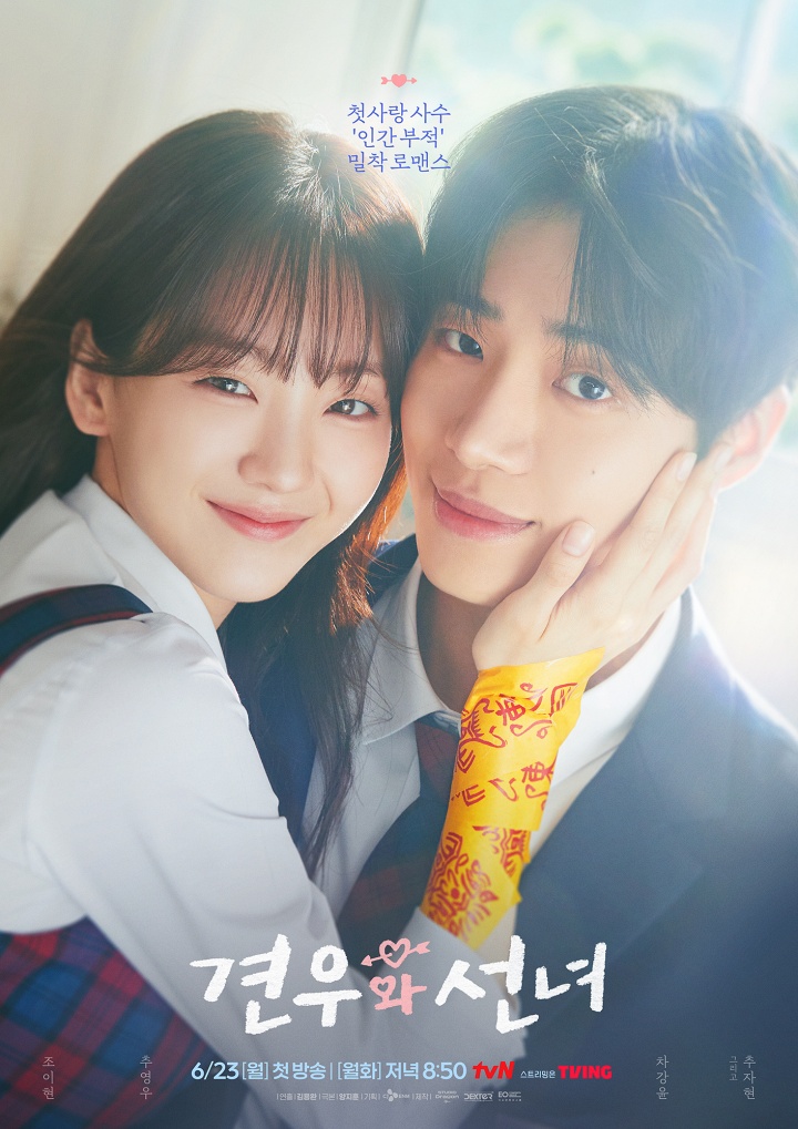 Nonton Drama Korea Head Over Heels