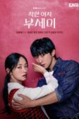 Nonton Drama Korea Ms. Incognito (2025)