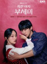 Nonton Drama Korea Ms. Incognito (2025)