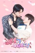 Nonton Drama Korea My Bias is Showing (2025)
