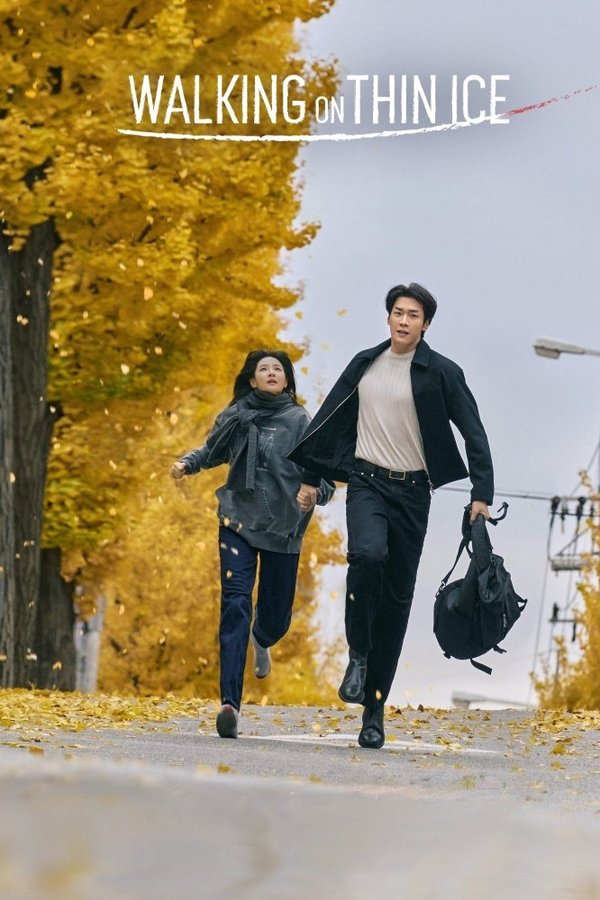 Nonton Drama Korea Walking On Thin Ice (2025)